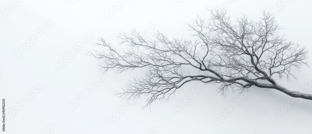 A stark, minimalist image of a bare tree branch extending across a light, foggy background, evoking a sense of tranquility and solitude A stark, minimalist image of a bare tree branch extending across a light, foggy background, evoking a sense of tranquility and solitude