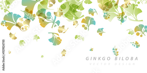 Herbal decorative banner. Vector background with plants design elements. Top border with falling ginkgo biloba leaves and branches.