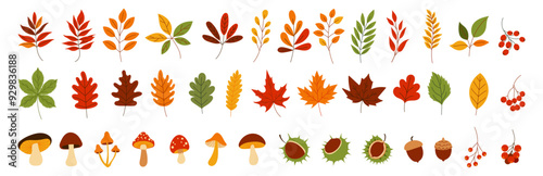 A collection of autumn leaves and mushrooms. The mushrooms are scattered throughout the image, with some in the foreground and others in the background. The leaves are of various sizes and shapes