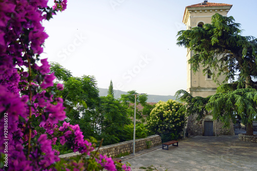 Summer landscape from the Old Town of Herceg Novi, Montenegro: lush purple bougainvillea in bloom and the Music Square with the bell tower of the Church of St. Jerome. Architecture of the Bay of Kotor