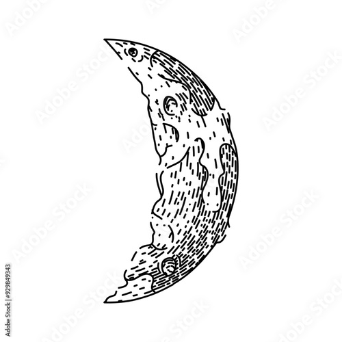 lunar moon hand drawn. eclipse craters, phases orbit, tides surface lunar moon vector sketch. isolated black illustration