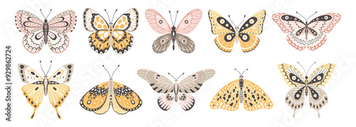 Butterflies and moths, a set of colorful insect vector illustrations. Cute wings with abstract ornament, front view. Elements for tattoo design. Summer background