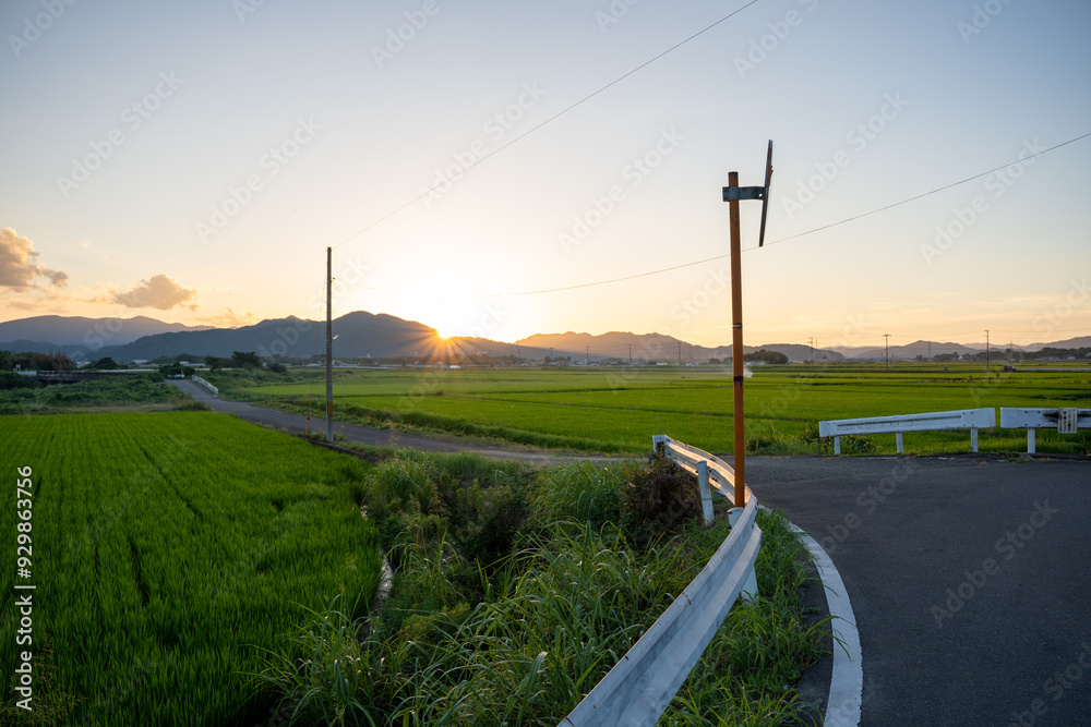 夕暮れ時の田んぼ風景