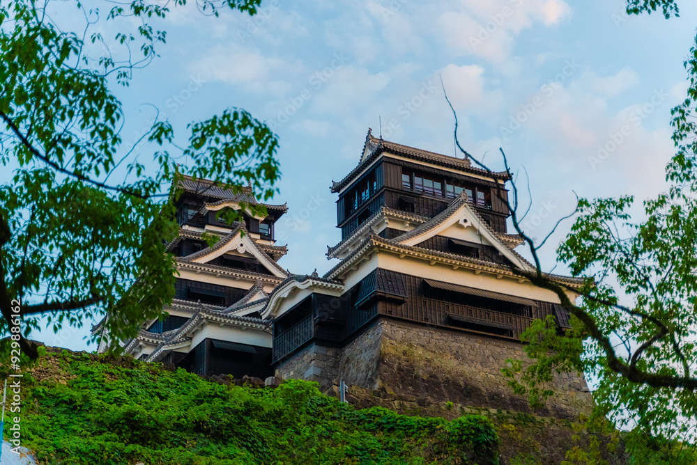 Fototapeta premium 【熊本】熊本城震災復興 2024年8月