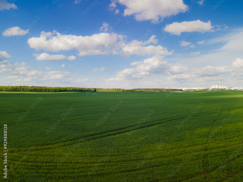 Obraz premium Drone view of the forest and fields, top view and blue sky on a sunny summer day