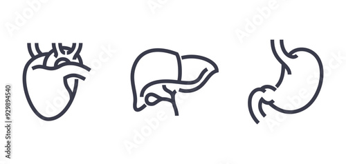 Healthy liver, stomach and heart - icons set in bold line