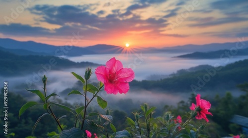 Sunrise Over Misty Mountains