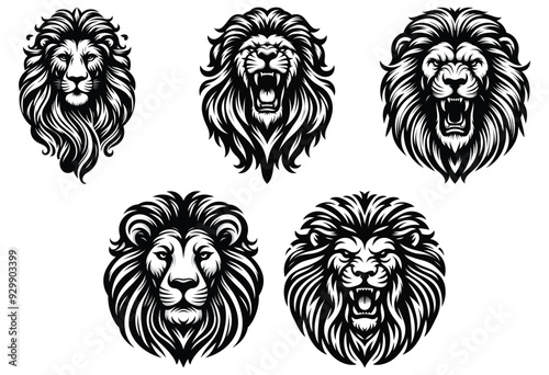 Detailed black and white lion head illustrations, isolated against white, ideal for tattoo design