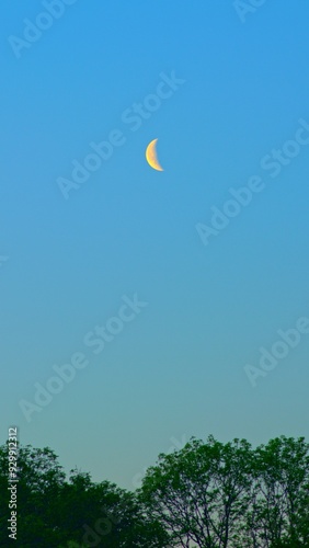 Morning Moon