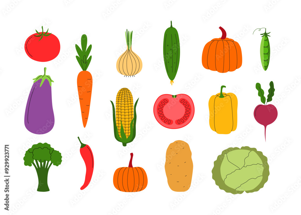 Colorful vegetables icons and doodles clipart. Harvest season, local food market. Agriculture. Vector isolated on white. Colorful vegetables icons and doodles clipart. Harvest season, local food market. Agriculture. Vector isolated on white.
