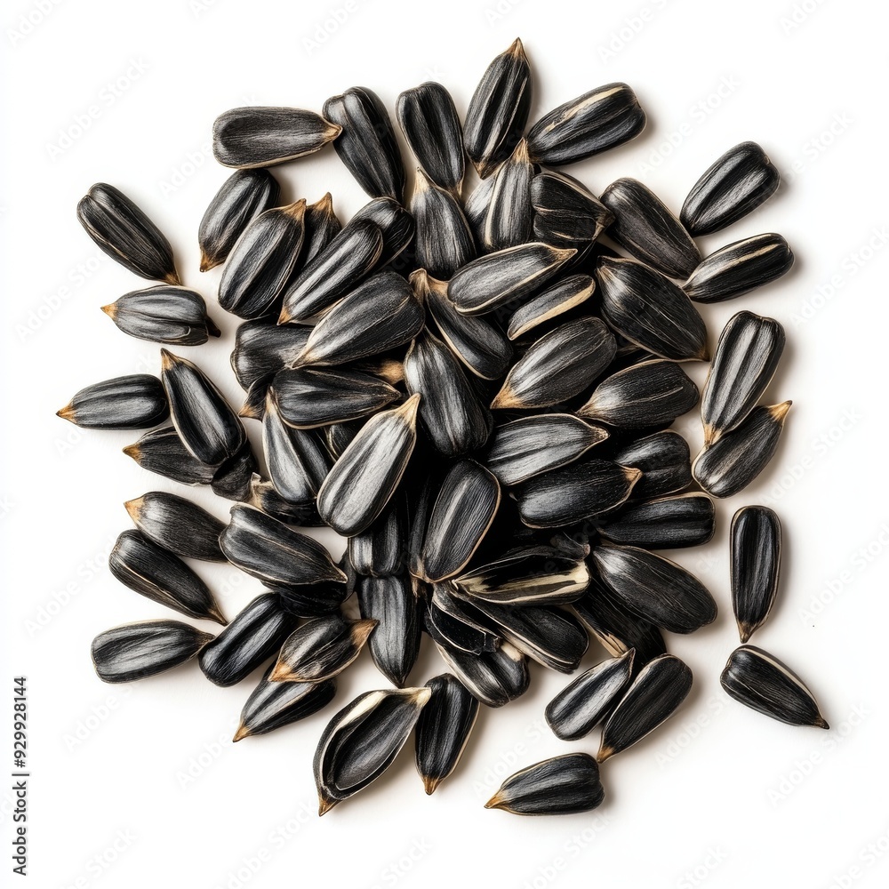Isolated tonka beans on a transparent background Isolated tonka beans on a transparent background