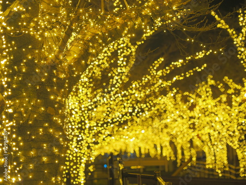 石和温泉通りの年末イルミネーション