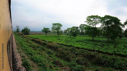 POV from Train Window of Scenic Tea Gardens in Dooars, Near Garumara National Park, West Bengal photo