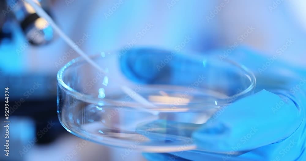 Petri dish and smear in laboratory setting Petri dish and smear in laboratory setting