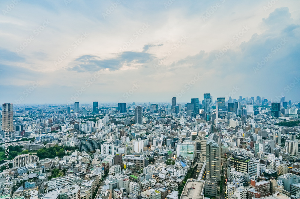 日本の東京の都市風景 日本の東京の都市風景
