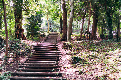 stairway to heaven