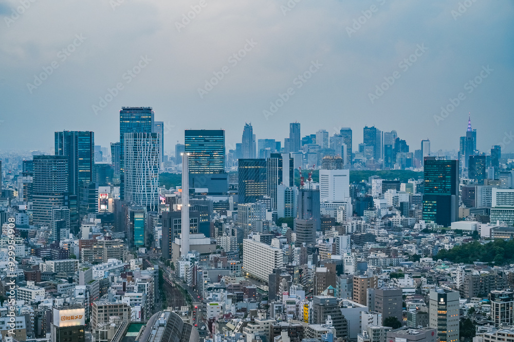 Naklejka premium 日本の東京の都市風景