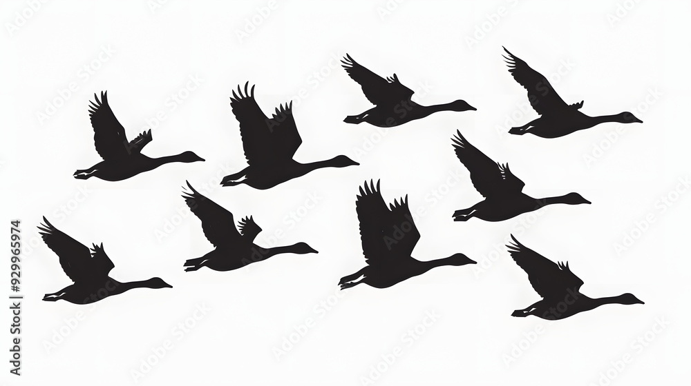 Obraz premium Set of silhouettes of flying geese. Birds flock with V formation. Geese migrating season