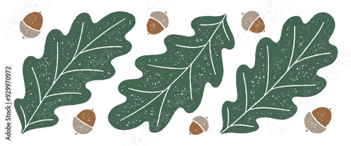 Oak leaves and acorns with grainy texture