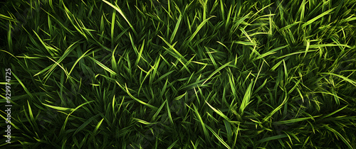 "Seamless Green Grass Texture with Individual Blades"