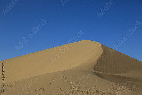 Fototapeta Naklejka Na Ścianę i Meble -  dune