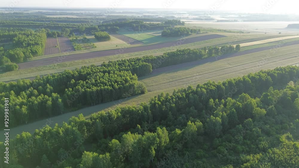 custom made wallpaper toronto digitalSunset over countryside fields and dense forests