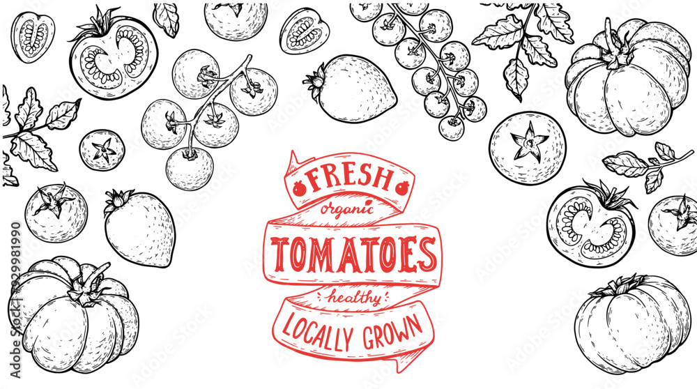 Tomatoes frame. Hand drawn illustration. Tomato vegetable sketch. Organic tomato design template. Vector illustration. Package design elements. Tomatoes frame. Hand drawn illustration. Tomato vegetable sketch. Organic tomato design template. Vector illustration. Package design elements.