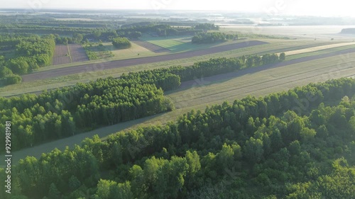 Wallpaper Mural Sunset over countryside fields and dense forests Torontodigital.ca