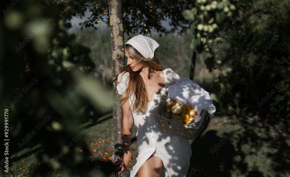 photo in Italian style with a sexy young woman in a light summer dress a peasant woman picking fruits
