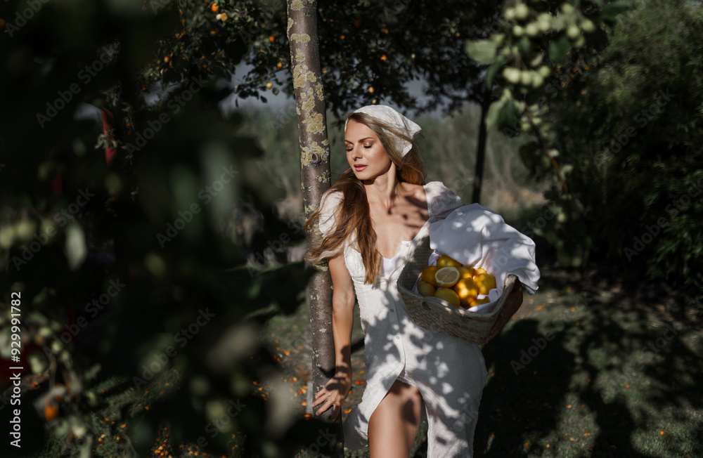 photo in Italian style with a sexy young woman in a light summer dress a peasant woman picking fruits