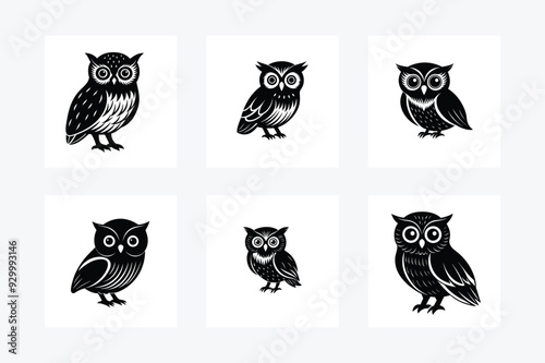 Black and White Owl Vector Illustration