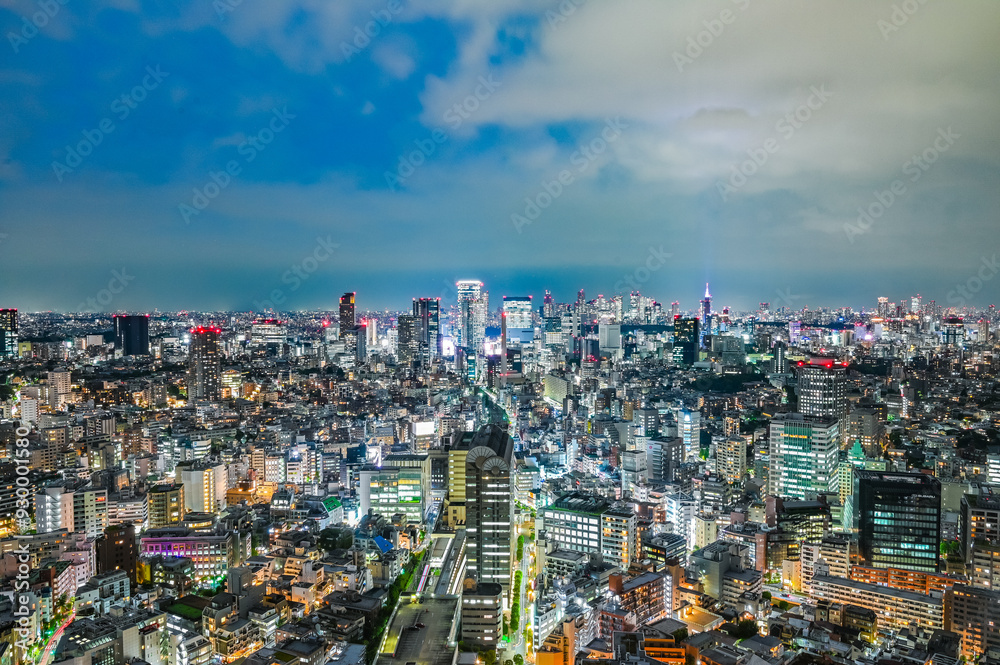 Fototapeta premium 日本の首都東京の夜景