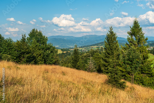 View from Koczy Zamek hill above Koniakow village in Poland