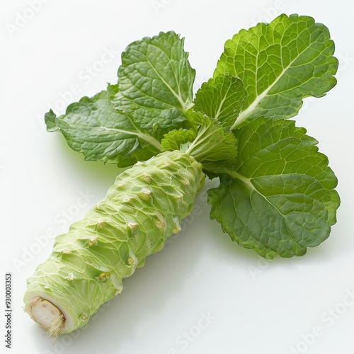 Fresh and Vibrant Wasabi Root with Lush Green Leaves