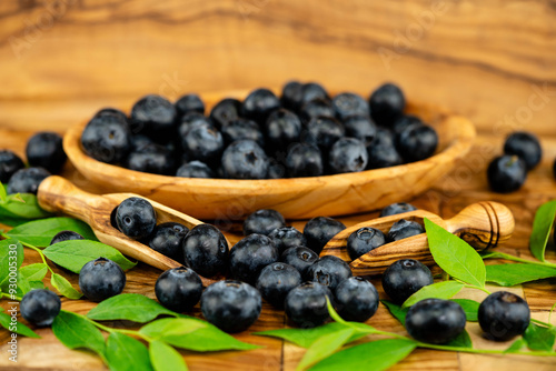 frische Blaubeeren Vaccinium myrtillus aus dem eigenen Garten