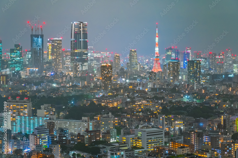 日本の首都東京の夜景