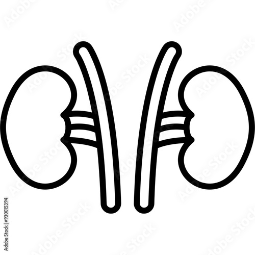 Kidney Icon