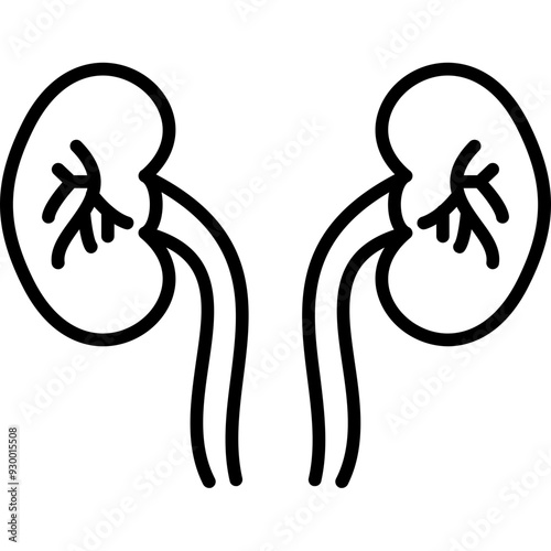 Kidney Icon