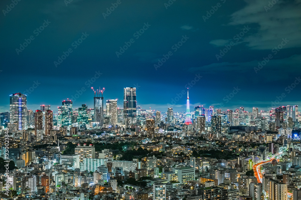 日本の首都東京の夜景