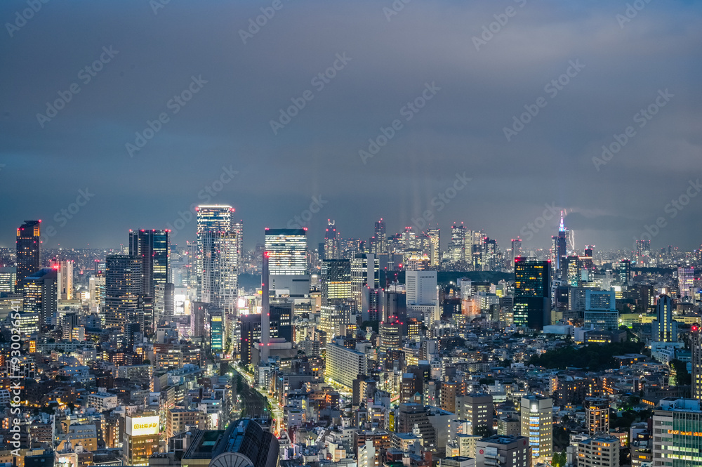 Obraz premium 東京の夜景と雷