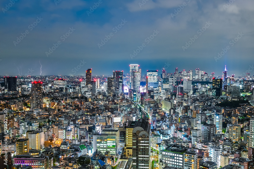 Fototapeta premium 東京の夜景と雷