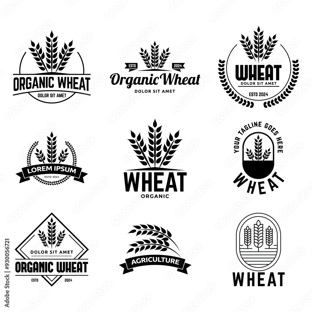 Fototapeta premium Set of Wheat or grain logo vector logo design template