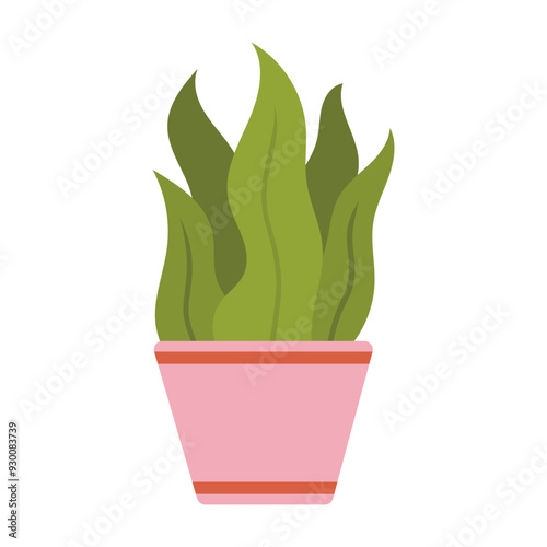 Plant in pot illustration