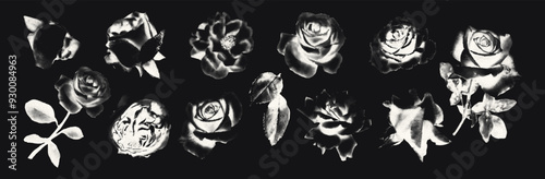 Roses trendy elements with retro photocopy negative effect. Vintage dotted flowers with grunge messy texture. Y2K aesthetic vector illustration ideal for poster design, t shirt, tee print, sweatshirt