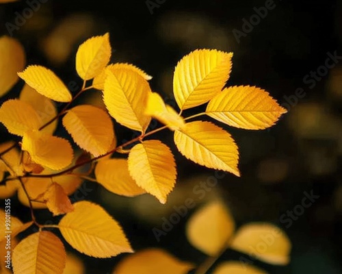 Vibrant yellow leaves gracefully cascading against a blurred dark background, capturing the essence of autumn's beauty.