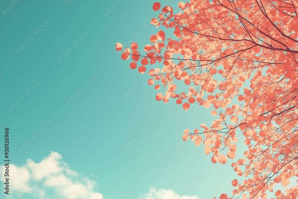 Autumn Leaves At Sky Background Autumn Leaves At Sky Background