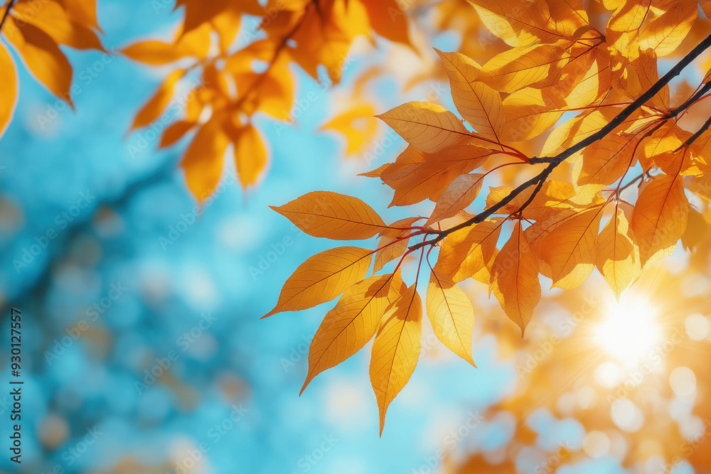 Autumn Season Autumn Season