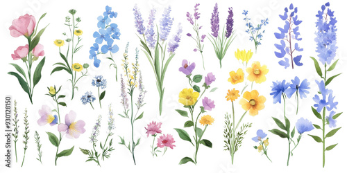 Set of colorful flowers on transparent background, isolated, AI generated