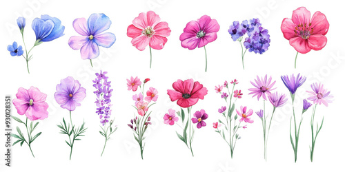 Set of colorful flowers on transparent background, isolated, AI generated