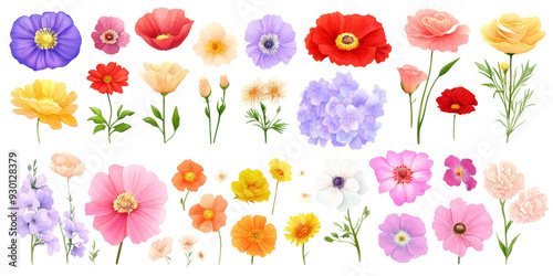 Set of colorful flowers on transparent background, isolated, AI generated